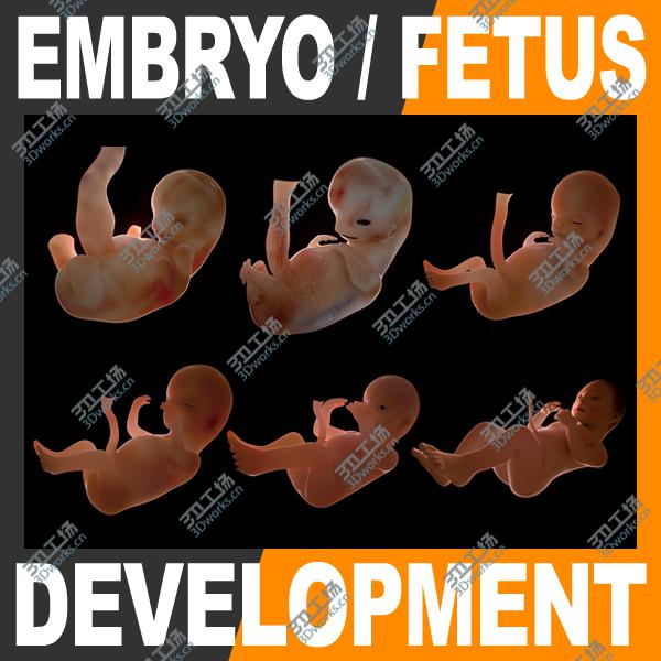images/goods_img/202105073/Human Fetus and Embryo Development/1.jpg